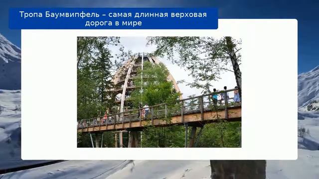 Тропа Баумвипфель – самая длинная верховая дорога в мире смотреть онлайн