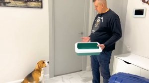 КАК НЕЗАМЕТНО СБЕЖАТЬ ИЗ ДОМА. БРОС ШОУ ПЕТ