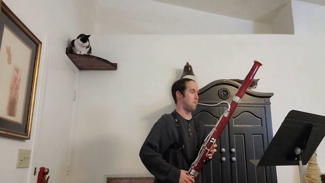 Karel Pivoňka Bassoon Etude No. 24 from Rhythmical Etudes смотреть онлайн