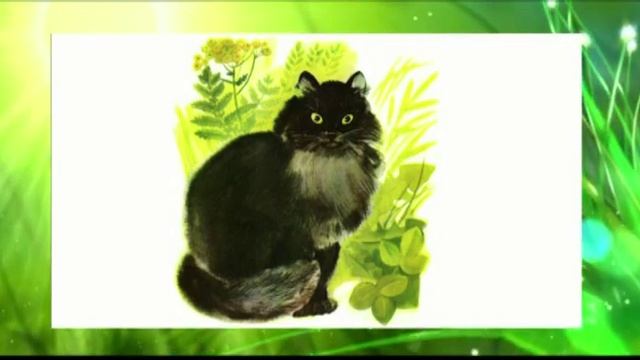 Фёдор Дубяга, 11 лет. Одинцовский р-н Московской области смотреть онлайн