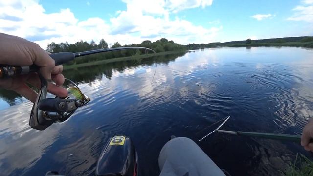 Хороший клев жереха в начале лета смотреть онлайн
