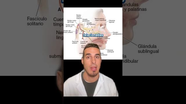 ¿Por qué ESTORNUDAS al DEPILARTE las CEJAS o te LLORAN los OJOS? смотреть онлайн