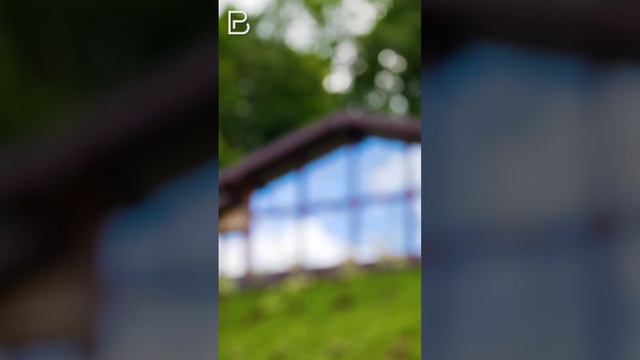 Давай проживём свою лучшую жизнь✨ смотреть онлайн