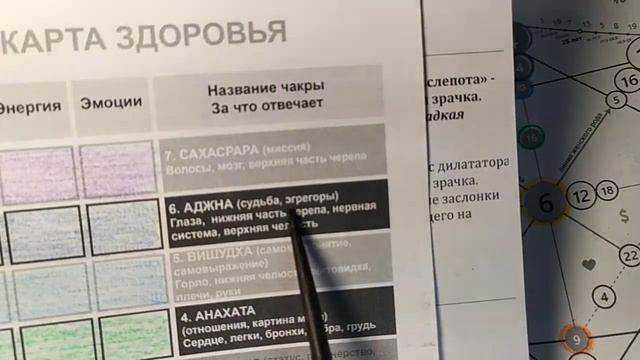 6 Аджна - чакра внимание, интуиция. Железы - гипофиз, гипоталамус, таламус и эпифиз (шишковидная). смотреть онлайн