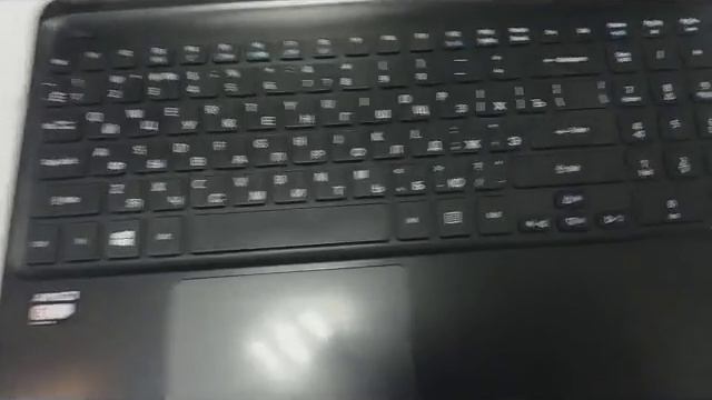Видео №555386 смотреть онлайн