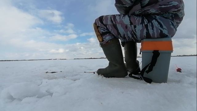 ? ШАБЛИШ ? Трудовая получилась рыбалка. Кто ищет рыбу тот найдет.. смотреть онлайн