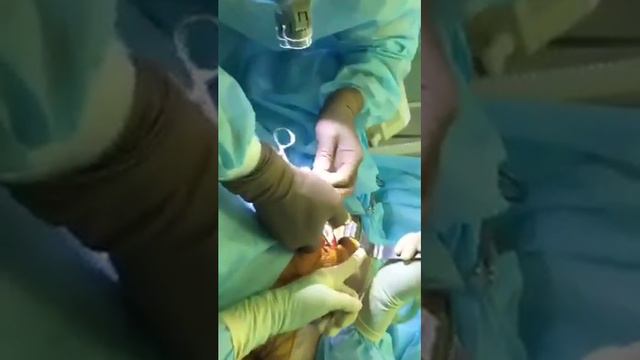 dr edgar Увеличение груди смотреть онлайн