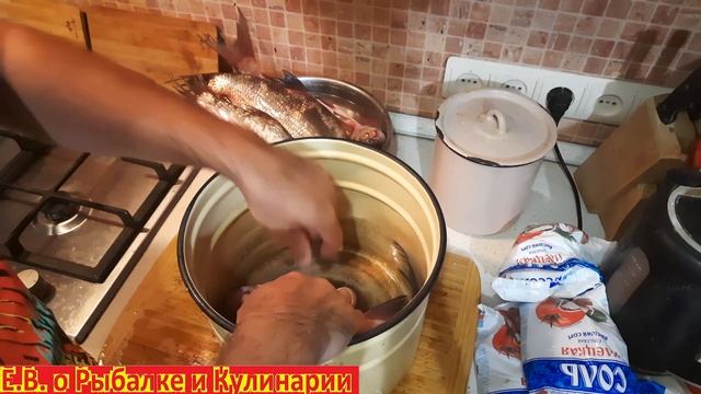 Секрет засолки лещей, подлещиков и другой рыбы в квартире, так рыба у вас никогда не испортится. смотреть онлайн