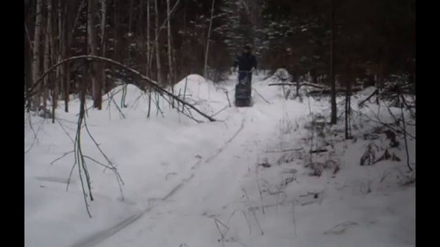 прогулка на мотособаке. смотреть онлайн