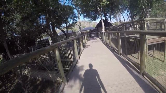 Walkthrough of the NEW Lion & Safari Park, Johannesburg смотреть онлайн