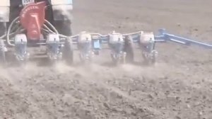 Технология возделывания сои во ВНИИМК, г. Краснодар