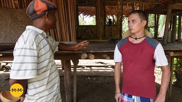 Папуа-Новая Гвинея, экспедиция Маклая. Зачем юноши-папуасы строят деревянные дома смотреть онлайн