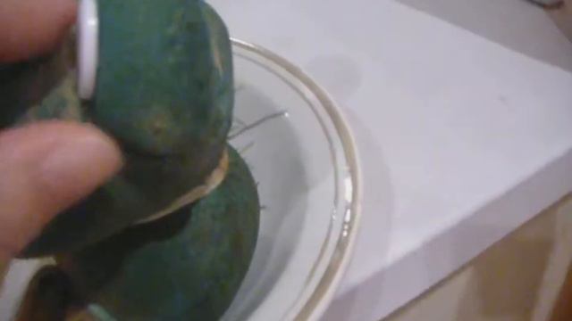 Влог:ростим лягушонка-травянчика* Vlog:growth frog-travancic смотреть онлайн