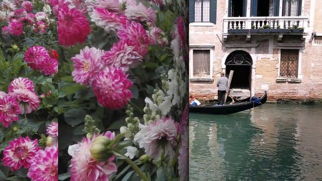 Antonio Vivaldi Violin Concerto in G minor, RV 315 'Summer' Complete Concerto смотреть онлайн
