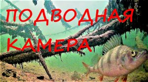 ПОДВОДНАЯ КАМЕРА НА ЗИМНЕЙ РЫБАЛКЕ
