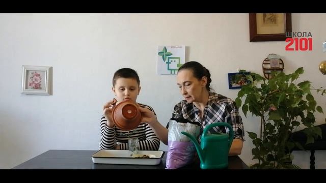 Экоурок № 15. Сажаем кофе дома смотреть онлайн