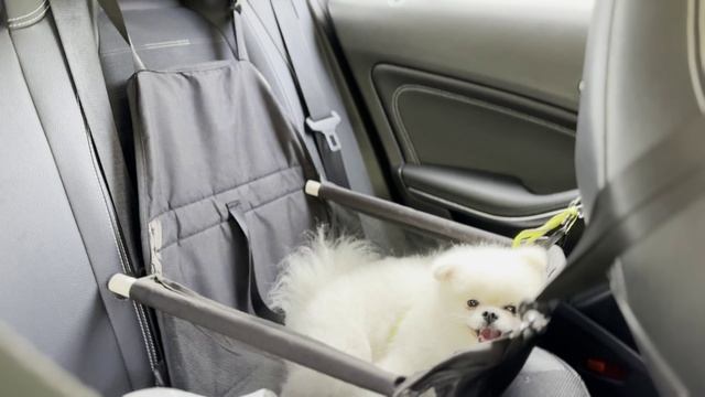 День предпенсионера.