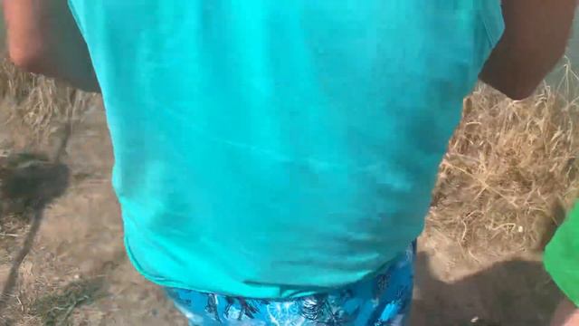 Карандашей надо отпускать смотреть онлайн