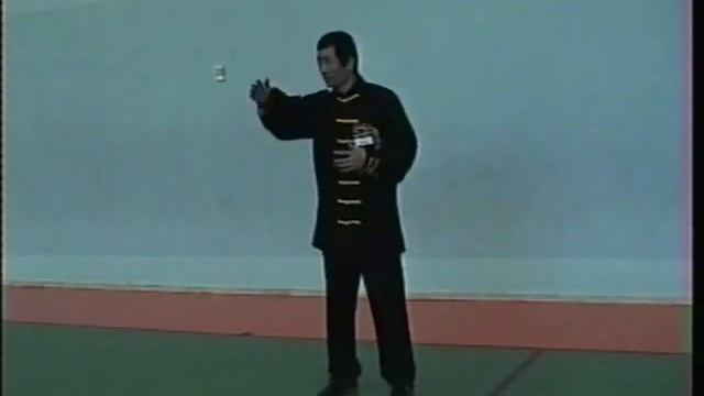 Волна, опора и соединение дыхания с движением. Семинар Мастера Хуана Тайчэна февраль 2018 смотреть онлайн