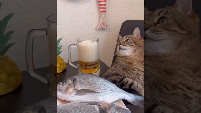 Субботний мут