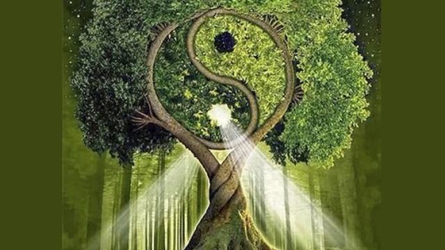 ЛЮБОВЬ К СЕБЕ Практика медитация смотреть онлайн