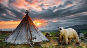 Дикий Ямал. Редкие Звери и Животные. Песец, Тюлень и Белый Медведь. Мохнатые соседи Ненцев | Факты