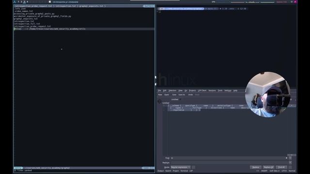 Web Security Academy | GraphQL | 3 - Finding A Hidden GraphQL Endpoint смотреть онлайн