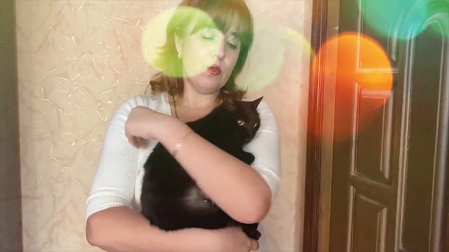 Ласковая И Ручная Бездомная Кошечка БАГИРА Очень Нуждается В Вашей Любви! Ищем Постоянный ДОМ! смотреть онлайн