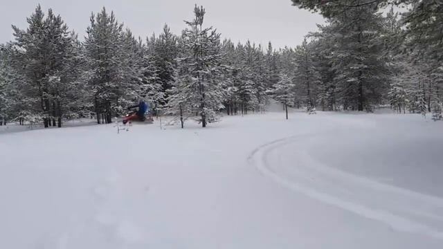 Снегоход SF-150 L Ирбис / motux.ru смотреть онлайн