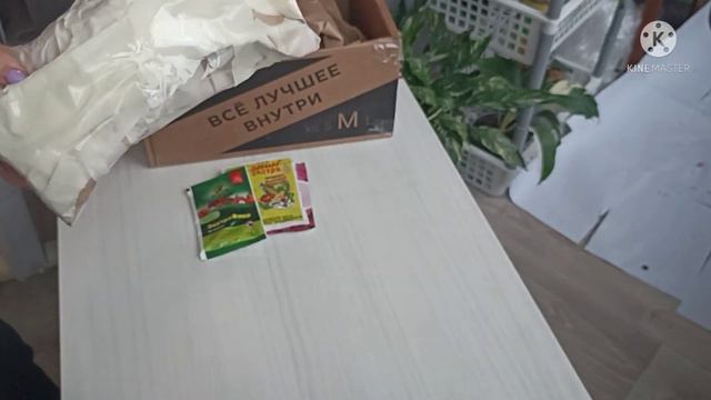 Посылка от орходруга - Анастасии. Спасибо тебе, дорогая! Желанный орхосорт Лисбоа! смотреть онлайн