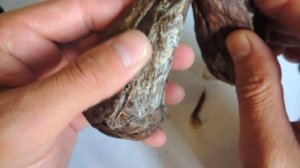 Различие во внешнем виде бобровой струи от степени сушки.