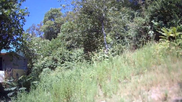 Участок земли в Сочи (р-н Дагомыса) - для загородного дома! смотреть онлайн