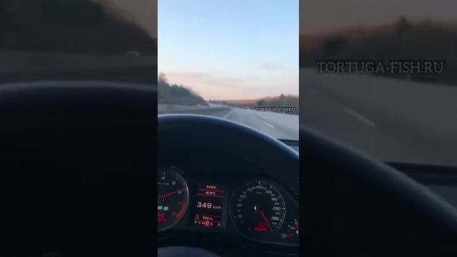 выиграл спор кто быстрее до Питера он на авто или друг на самолёте смотреть онлайн