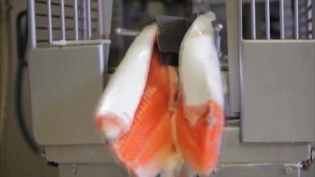 Брест - город возможностей. Объекты 1000-летия смотреть онлайн