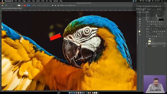 Photoshop с нуля до ПРОФЕССИОНАЛА Как освоить pen tool смотреть онлайн