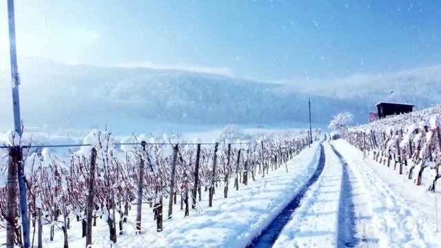 КАК ВРЕДИНА ЛАЙФ И ЕЕ СЕМЬЯ НОВЫЙ ГОД ОТМЕЧАЛИ смотреть онлайн