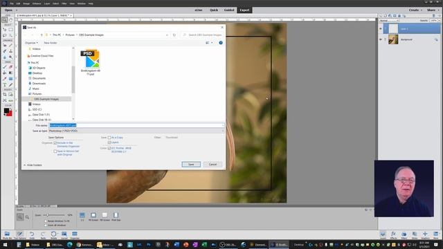 Create an Insert Hairline Border in Photoshop Elements 15 смотреть онлайн