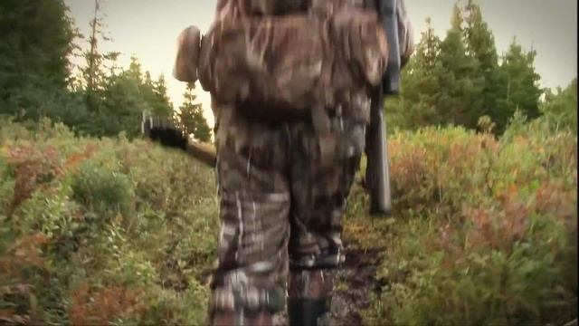 Huge bodied Newfoundland Moose and a bonus Bear hunt | Canada in the Rough смотреть онлайн