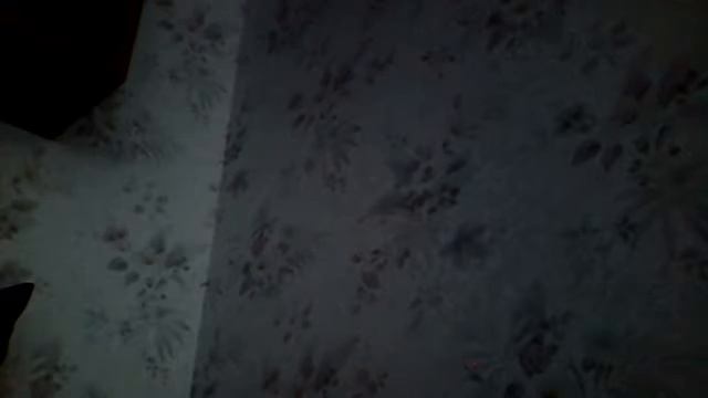 Обои с лепестками роз