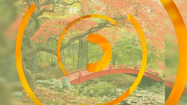 Здравствуй, ОСЕНЬ! Золотая осень!