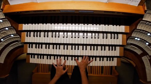 Sarah Ellensohn | Konzert Im Stephansdom An Der Neuen Rieger-Orgel