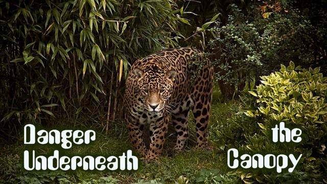 Royalty Free Background Music #36 (Danger Underneath the Canopy) Percussion/Action/Suspense смотреть онлайн