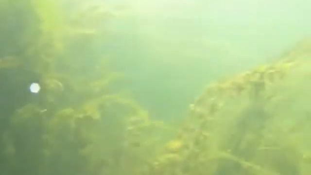 Подводная сьёмка на р. Нура смотреть онлайн