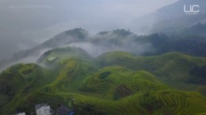 РИСОВЫЕ ТЕРРАСЫ: КАК КИТАЙЦЫ ВЫРАЩИВАЮТ РИС И РЫБУ В ГОРАХ