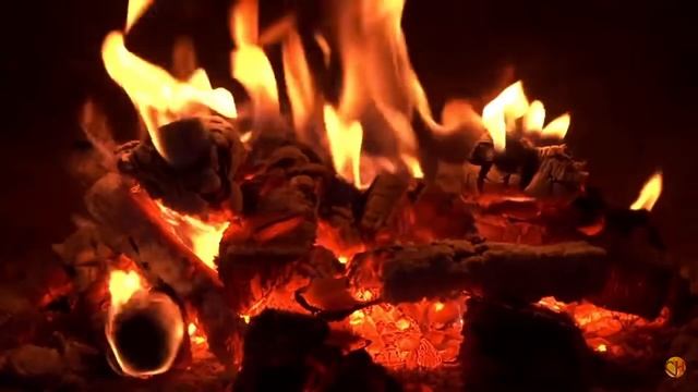 Песня про рыбалку "Трофей" смотреть онлайн