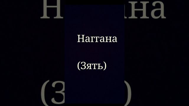 Ноггано ( зять) смотреть онлайн