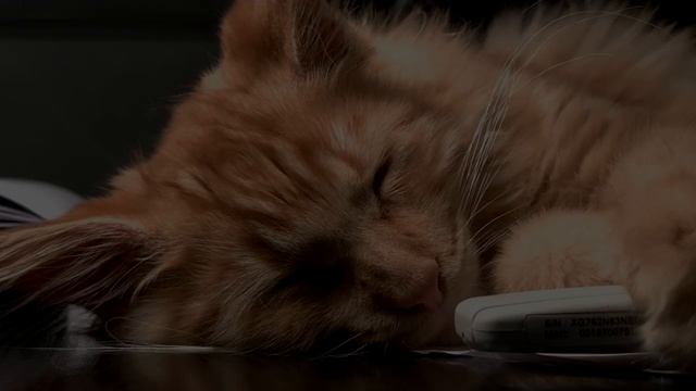 Детская колыбельная Капли росы на цветке ребенок спит  SleepTime