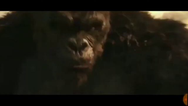 Godzilla Vs Kong(2021) Teaser Update | New Trailer Release Date Confirmed | смотреть онлайн