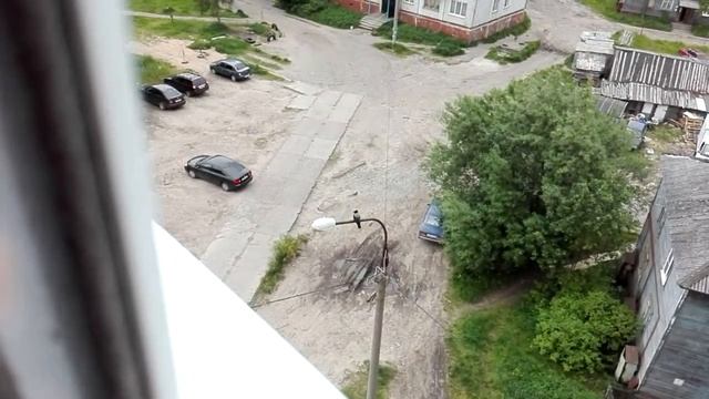 ворона мяучит. смотреть онлайн