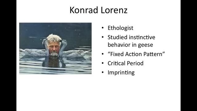 AP Psychology: Psychologists Review: Development and Personality Units смотреть онлайн